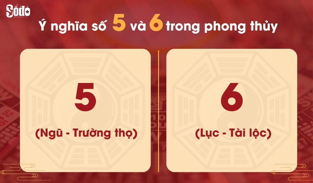 Biển số xe 56 giúp chủ sở hữu có sức khỏe tốt, thu hút tiền tài