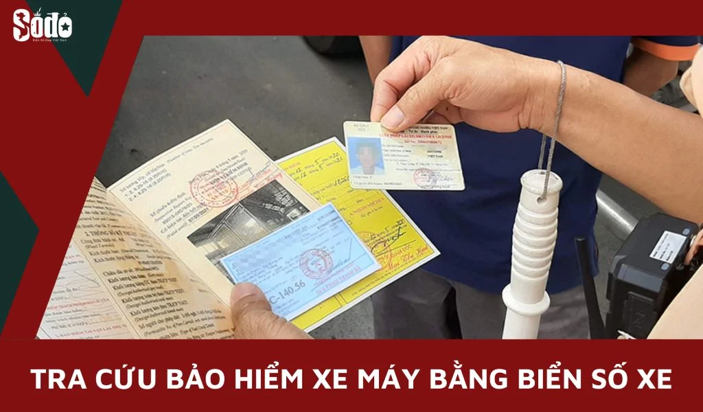 Tra cứu bảo hiểm xe máy bằng biển số xe nhanh chóng, tiện lợi
