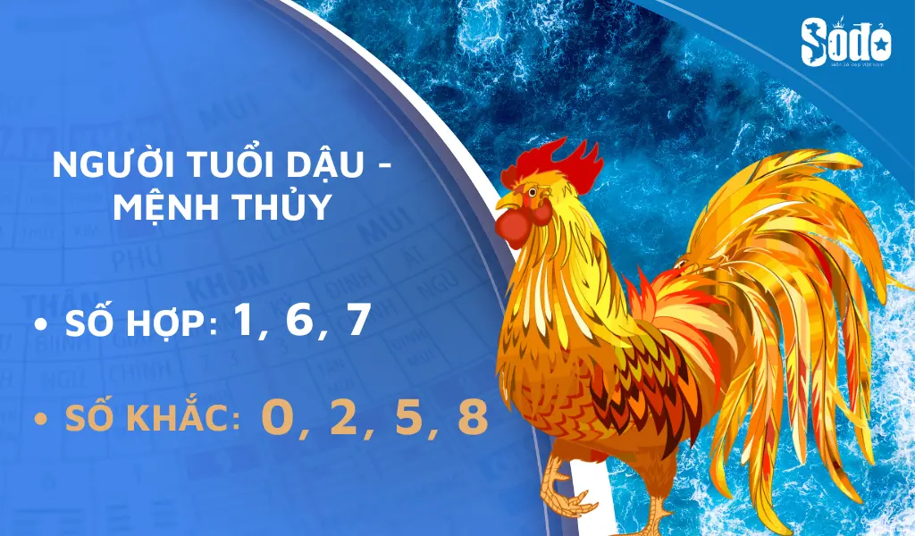 Chọn biển số xe hợp tuổi theo Ngũ hành là nguyên tắc thường được áp dụng