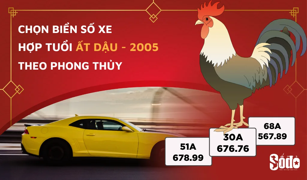 Số Đỏ phân tích các con số nên có trong biển số xe hợp tuổi Ất Dậu