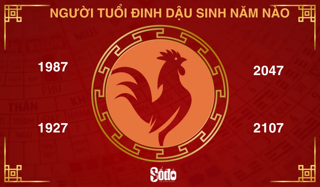 Người tuổi Đinh Dậu được yêu thích vì sự năng động vốn có