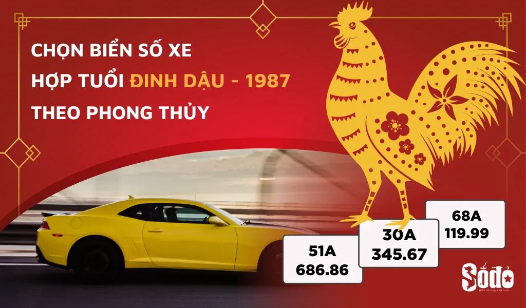 Số Đỏ hướng dẫn bạn cách chọn biển số xe hợp tuổi Đinh Dậu