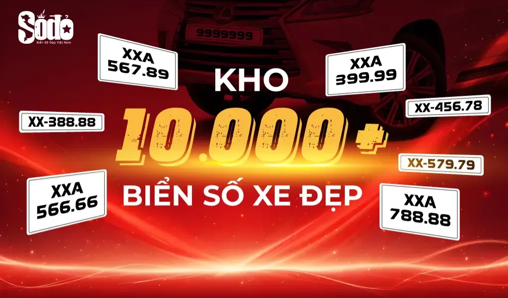 Sàn Số Đỏ - Sàn giao dịch uy tín và đấu giá biển số đẹp tại Việt Nam