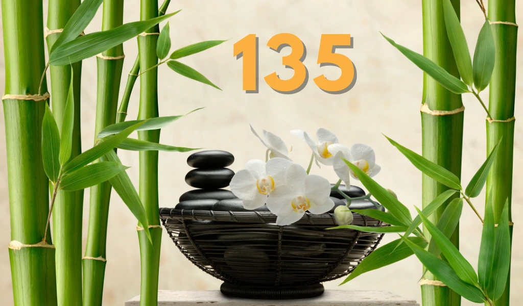 Trong dân gian, xuất hiện con số 13 mang ý nghĩa xui xẻo, không mấy may mắn khi sở hữu