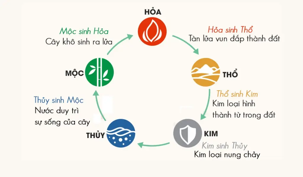 Biển 204 mang năng lượng chủ đạo Mộc, phù hợp người mệnh Mộc phát triển dài lâu