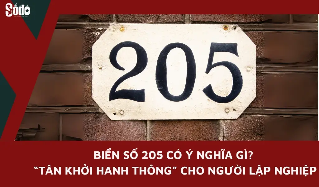 Biển số 205 có ý nghĩa gì? “Tân khởi hanh thông” cho người lập nghiệp